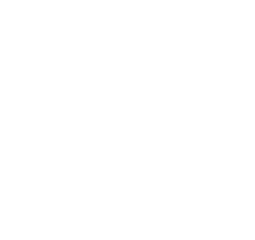 The Ship Logo